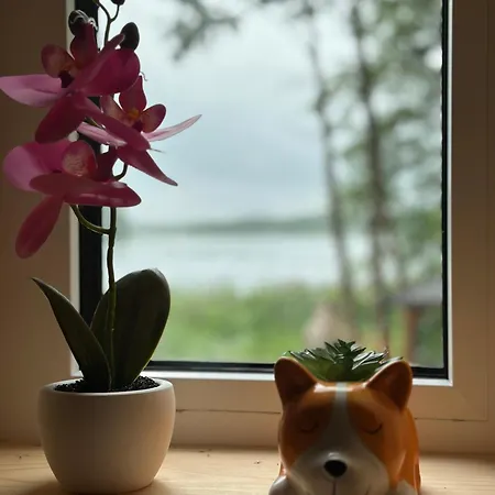 Mazurski Chill House * Malkinie