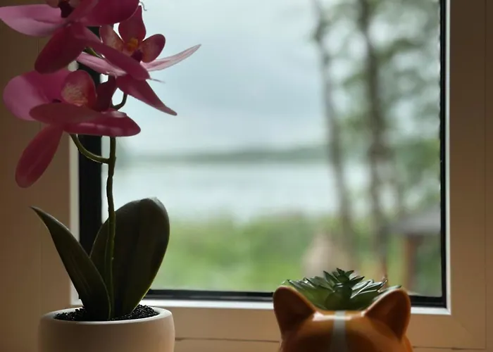 Mazurski Chill House * Malkinie